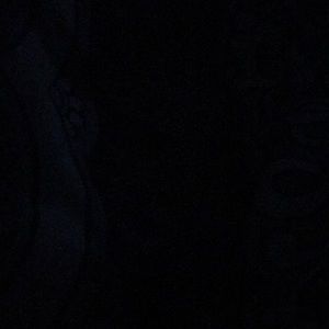 Meet your Posher, Claribel